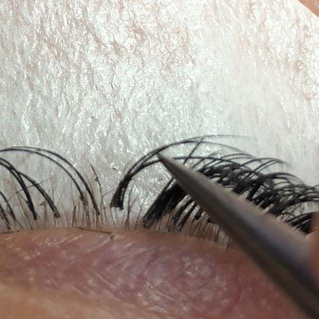 ISOLATION is key to success - TheLashChickPro